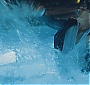 261.jpg