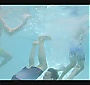 060.jpg