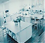 Filename=262.jpg
Filesize=200KiB
Dimensions=1920x800
Date added=Jun 17, 2025 262.jpg