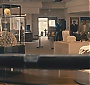 393.jpg