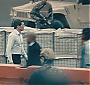 Filename=559.jpg
Filesize=228KiB
Dimensions=1920x1080
Date added=Jun 17, 2025 559.jpg