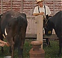 459.jpg