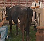 461.jpg