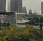 Filename=112.jpg
Filesize=354KiB
Dimensions=1920x1080
Date added=Jun 22, 2025 112.jpg