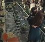 051.jpg